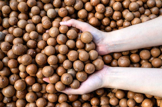 kadın ellerinin macadamia fındığı tutması