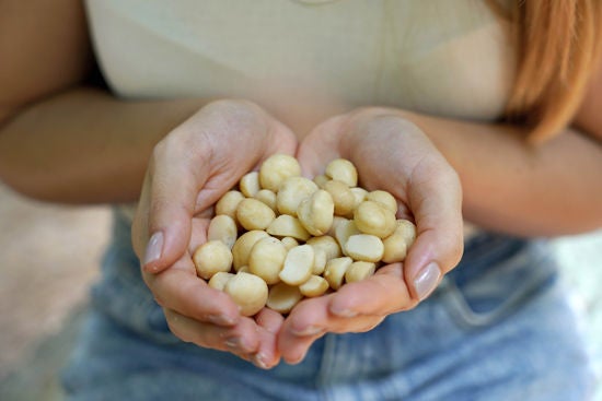 macadamia fındıkları tutan kadın elleri