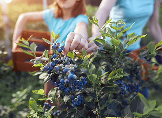 AMBALAJ ÇÖZÜMLERİMİZ VE GERİ DÖNÜŞÜM