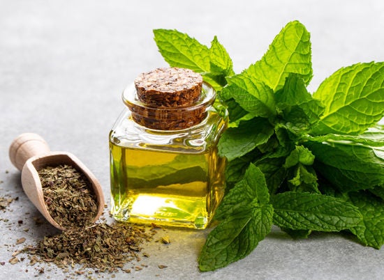 şişede nane esansiyel yağı ve yeşil yapraklar
