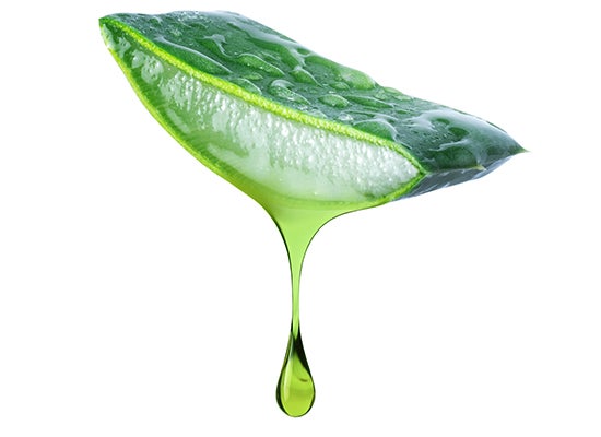 kesilmiş dilim aloe vera sapı damlayan