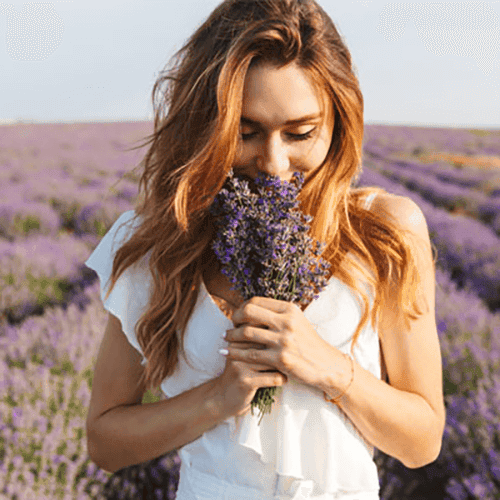 Kokular & İçerikler