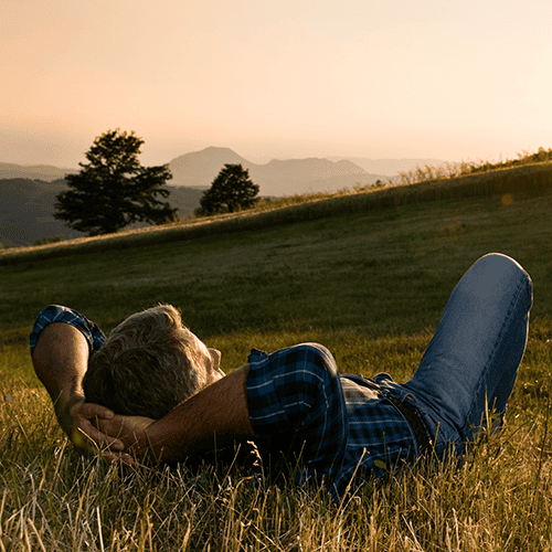 Doğayla Bütünleş 