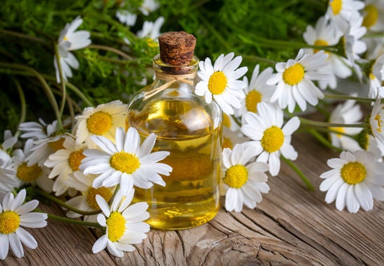 beyaz papatya yağı ahşap arka planda